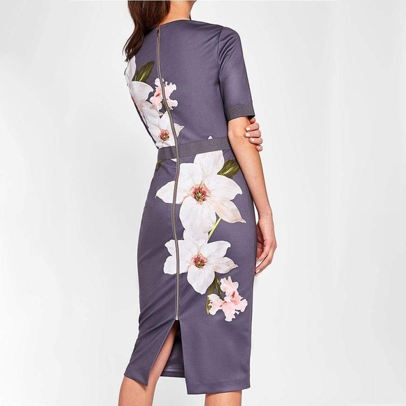 Ted Baker NWT Bisslee Chatsworth Floral Bloom Bodycon Dress Size 2 - Picture 2 of 11